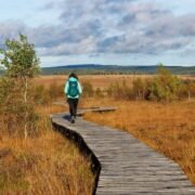 Séjour nature et bien-être dans les Hautes Fagnes en Wallonie