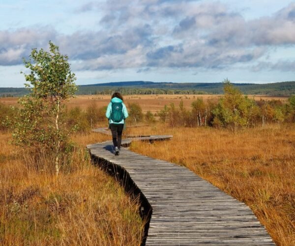 Séjour nature et bien-être dans les Hautes Fagnes en Wallonie