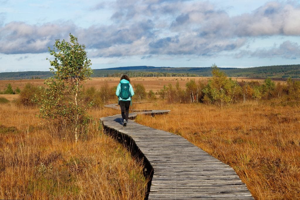 Séjour nature et bien-être dans les Hautes Fagnes en Wallonie